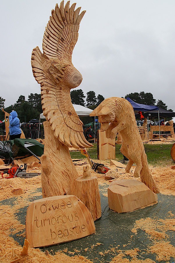 O Wee Timorous Beastie by Iain Chalmers People's Choice winner